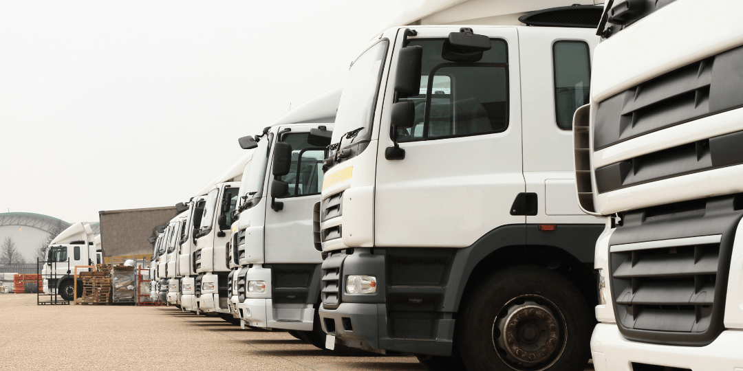 Various Wagons Lined Up